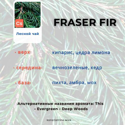 Пихта Фразера — изображение 2