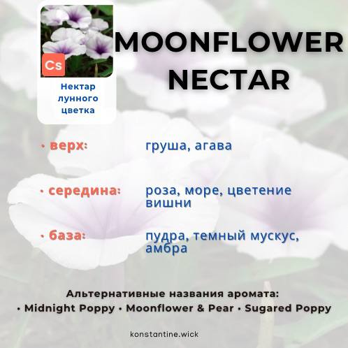 Нектар лунного цветка — изображение 2