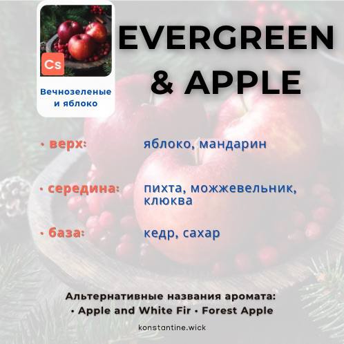 Вечнозеленые и яблоко — изображение 2