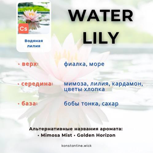Водяная лилия — изображение 2