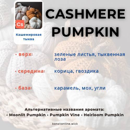 Кашемировая тыква — изображение 2