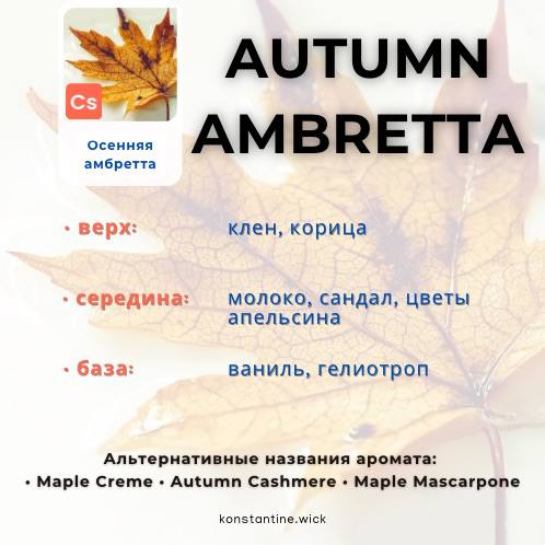 Осенняя Амбретта — изображение 2