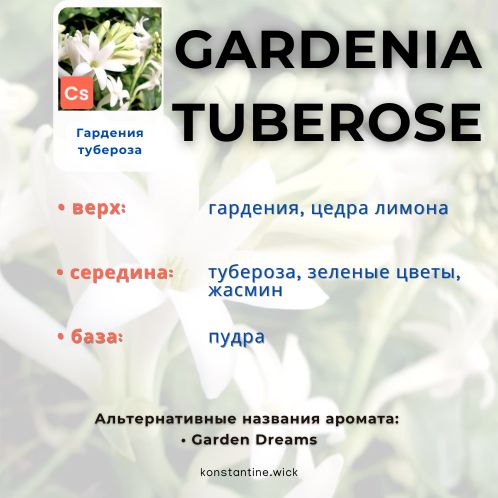 Гардения тубероза — изображение 2
